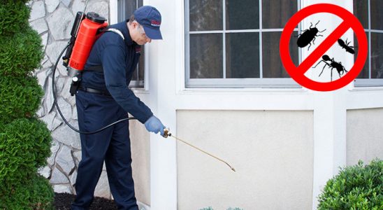 Çavdır Hamam Böceği İlaçlama böcek ilaçlama ve haşere kontrolü — ilaclama-tr.com